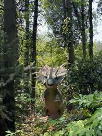 五一好去處！！貴州森林野生動物園