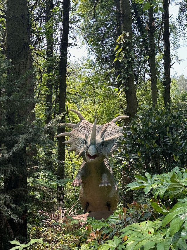 五一好去處！！貴州森林野生動物園