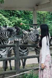 想當飼養員的第n天！！貴州森林野生動物園