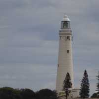 Rottnest island 