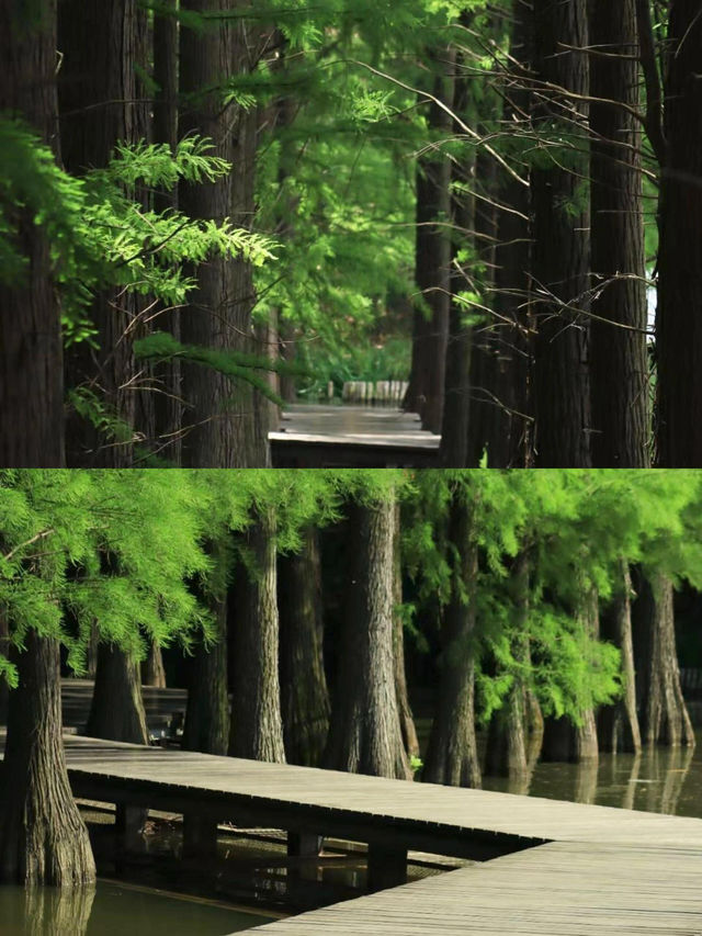 馬鞍山遊玩攻略之吸氧之旅||-