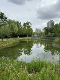 漫遊上海：中山公園，百年公園新變化