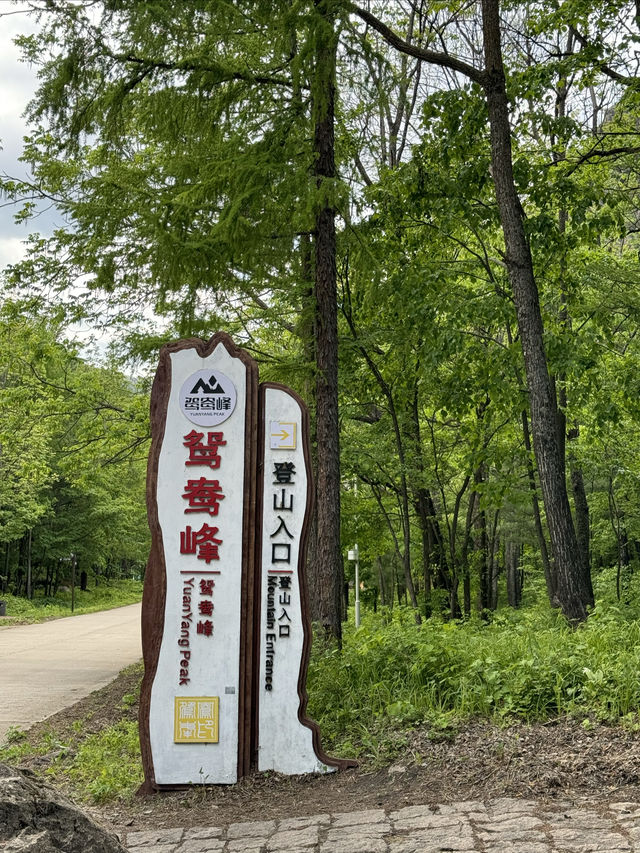 六一遛娃！別錯過！！很好玩！