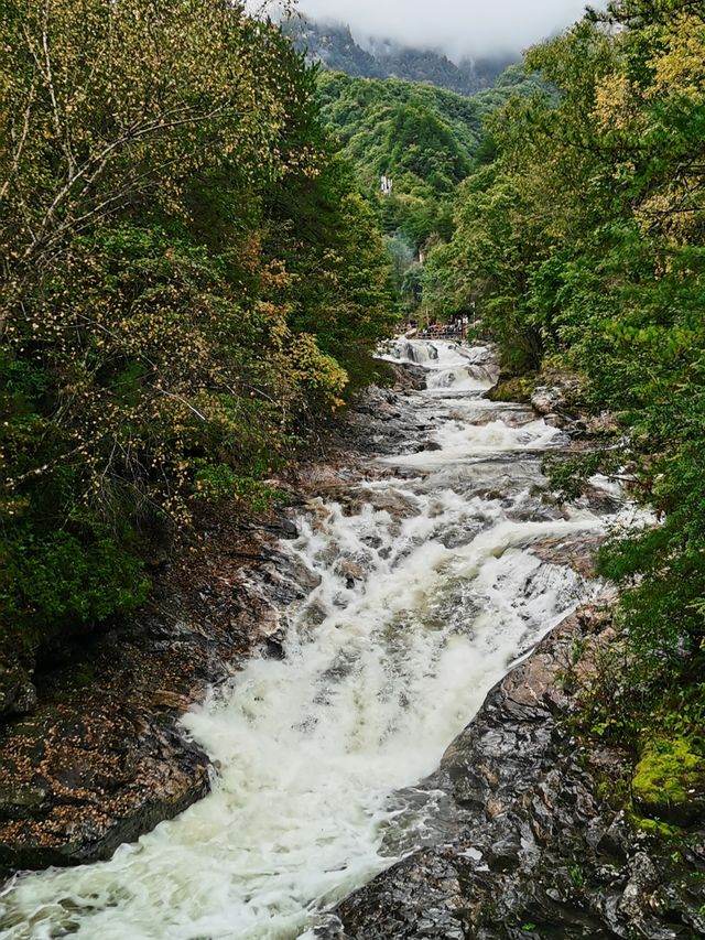 夢幻山水黃柏塬
