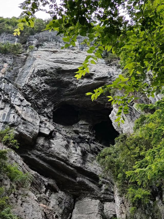 閃避！武隆天生三橋、仙女山
