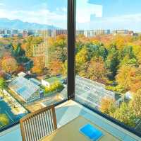 札幌酒店：獨特日式風情方便交通不可錯過的舒適體驗