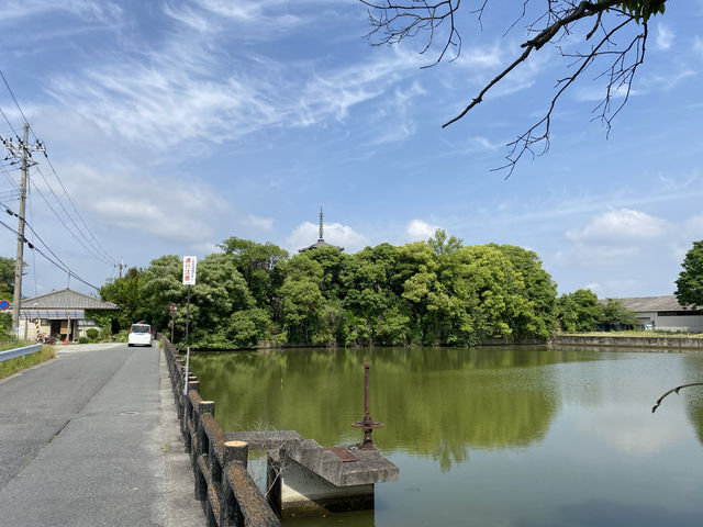 水稻田間，遙看藥師寺