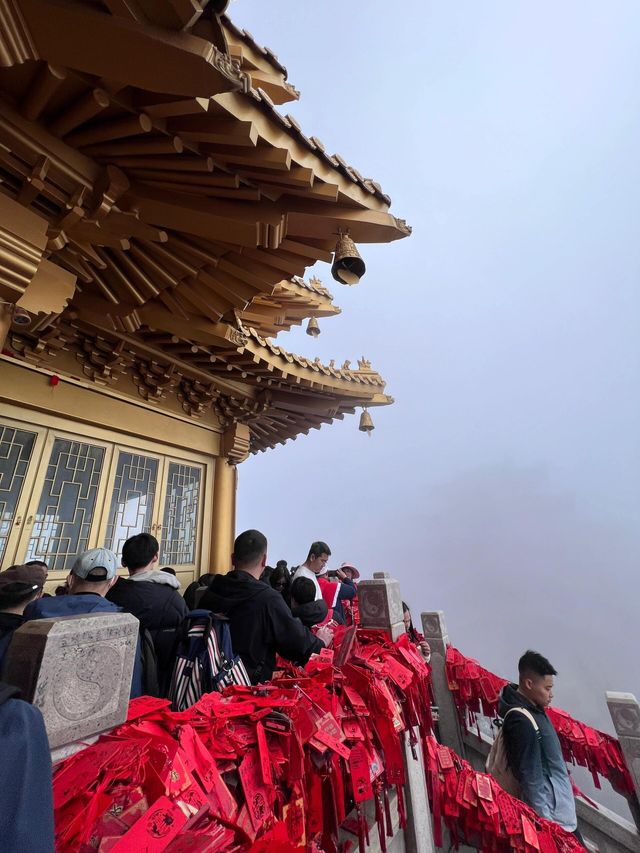 高考完總得有機會來一場說走就走的旅行