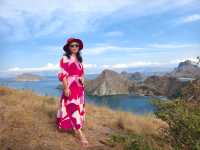 印尼科莫多帕達爾島，罕見的美麗