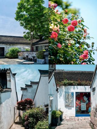 去余姚旅遊，記得要去這個免門票古鎮逛逛|||