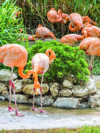 🌟 Lisbon's Top Family Gems: Oceanarium, Park & Zoo 🐠🌳🦁