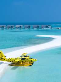 🌴 Maldives Magic: Luxe Stays & Pristine Beaches 🏖️✨