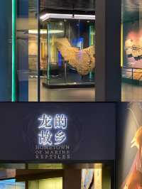 我的家鄉玩一天|貴陽市內好去處