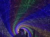 夜遊大陽山，瓊樓花月夜
