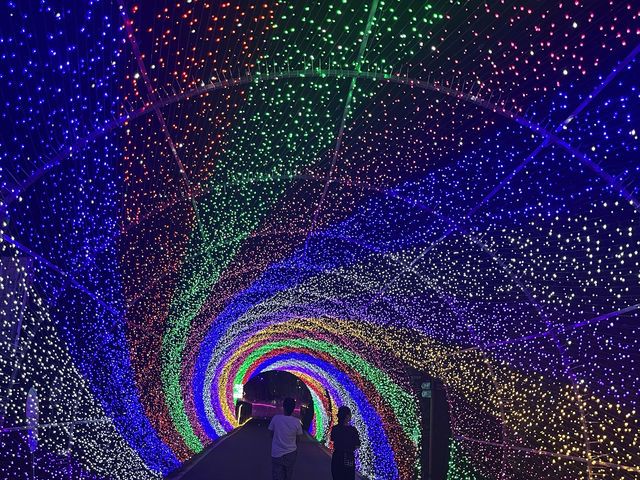 夜遊大陽山，瓊樓花月夜