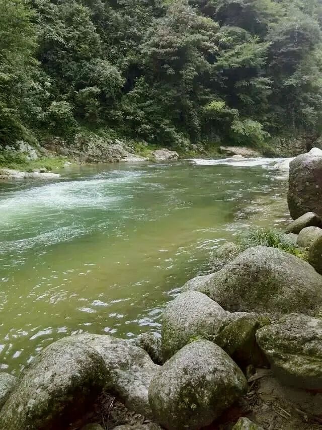 长沙周邊遊 | 株洲神龍谷森林公園