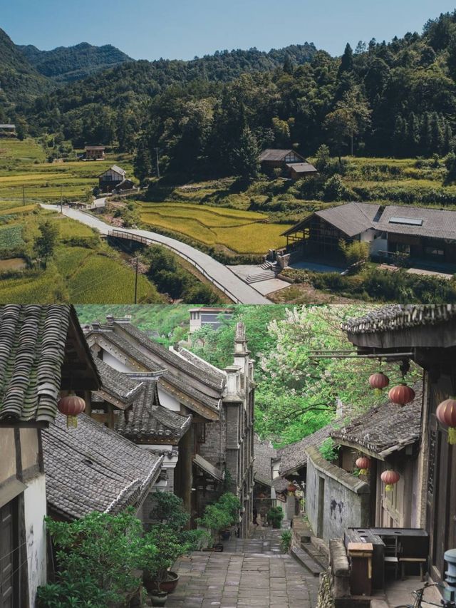 這裡真的很適合家庭避暑遛娃和想去放空自己的~