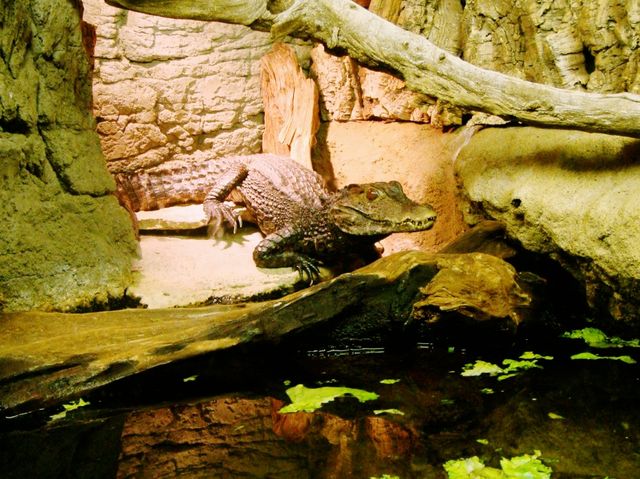 NY Aquarium Wild Life Cincervation Area: Cute and Fashion