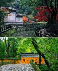 天台山·嘉助一半山水一半禪的避世山林酒店