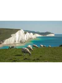 ⛰️To the Edge of the World • 6 Spots to See England's Iconic White Cliffs
