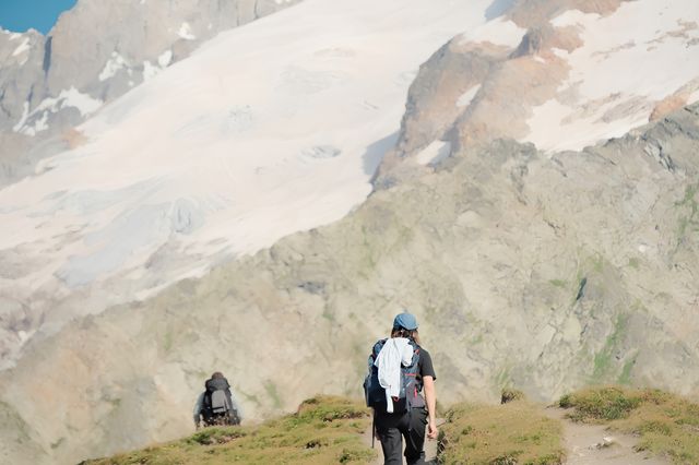 阿爾卑斯山，沒有平替