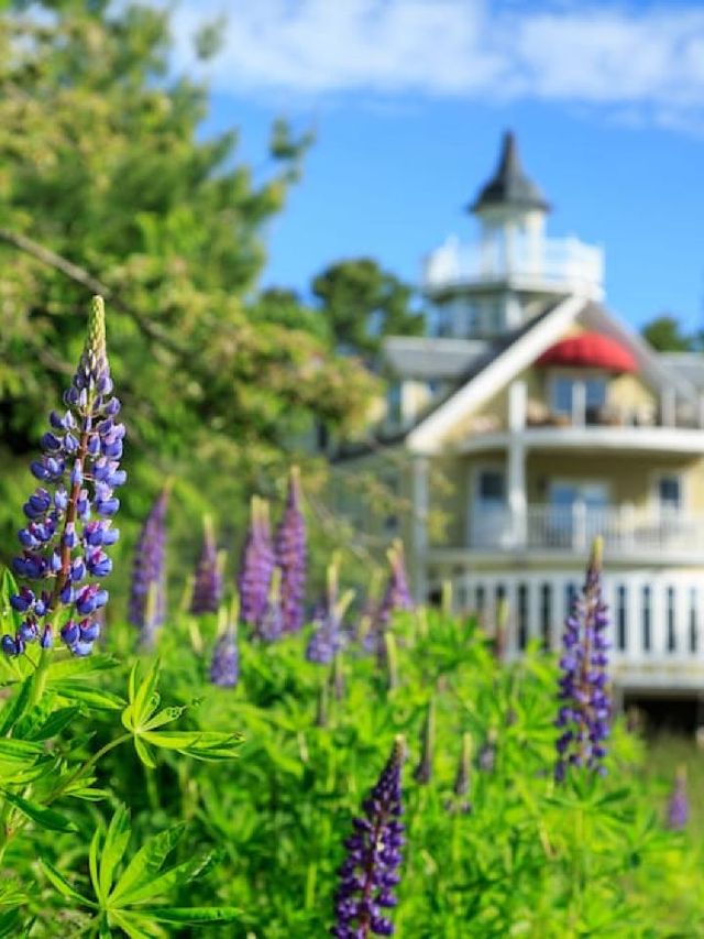 🌟 Maine's Hidden Gem: Captain Nickels Inn Unveiled! 🛏️🌲