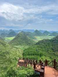 羅平金雞峰叢