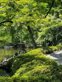 東京小眾景點|最詩意的八芳園