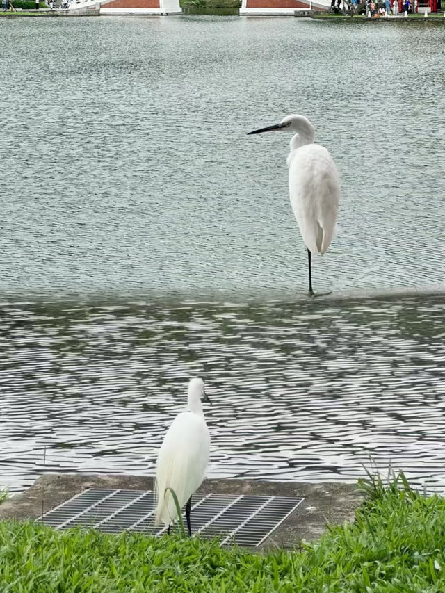 有氧的公園 真的太適合放鬆啦～
