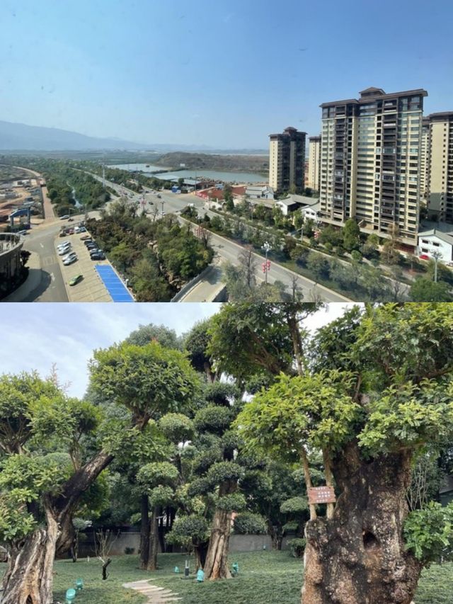 這是瀘西最棒的酒店了太合適一家人出行