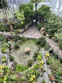 上海遛娃新去處｜上海溫室花園太美了吧