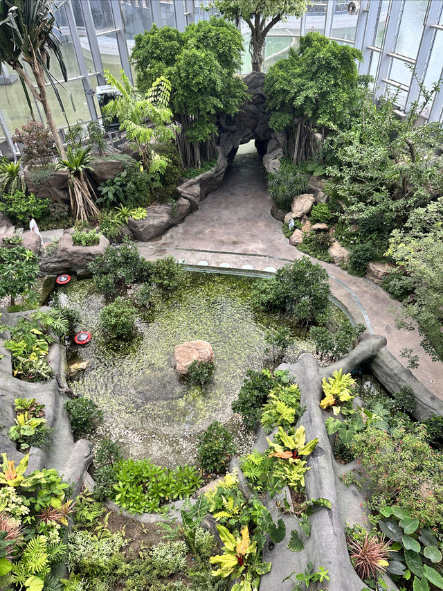 上海遛娃新去處｜上海溫室花園太美了吧