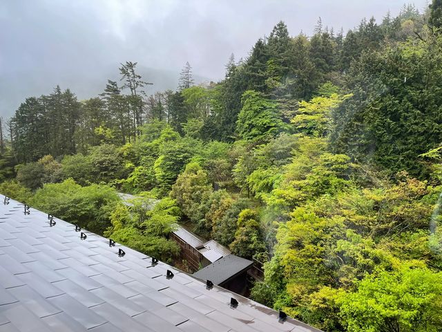 箱根天悠酒店：溫泉、美景與音樂的國際風情體驗