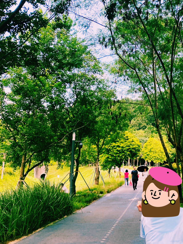 一面是湖，一面是塔，西麗湖環湖綠道美絕了！