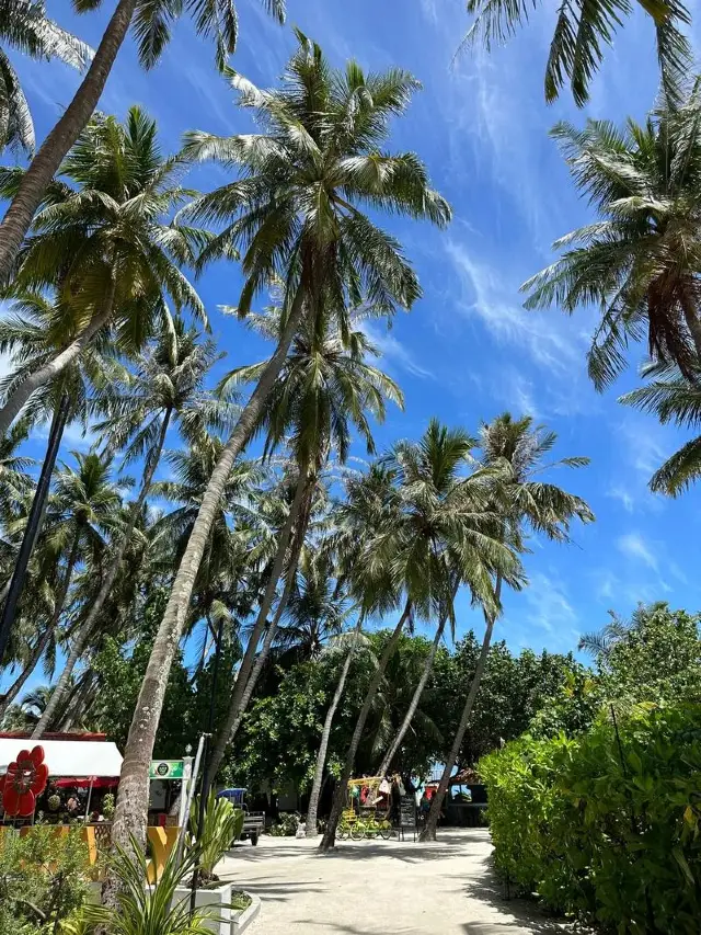 Maafushi Island: The Pearl of the Maldives.