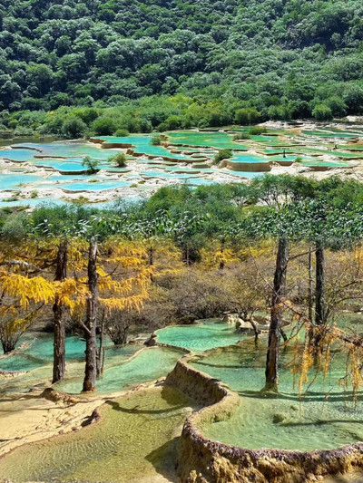 黃龍風景區，美如瑤池的人間仙境!｜Trip.com 鬆潘