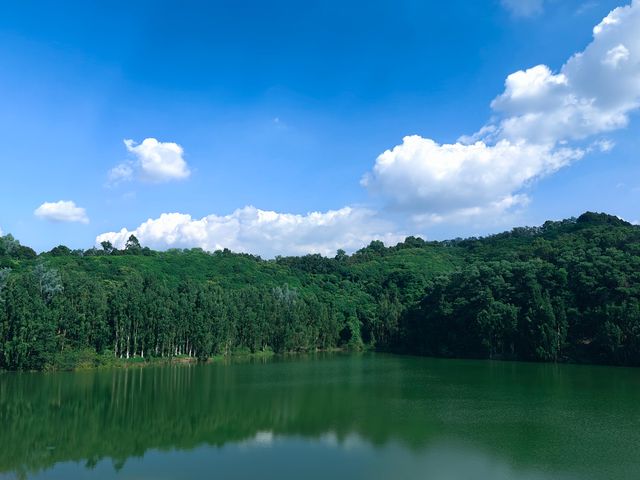 陽台山公園。