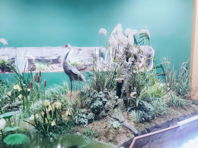 大運河博物館。