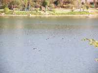 和順古鎮野鴨湖。