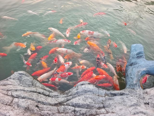 江西葛仙山 | 避世仙俠美景。