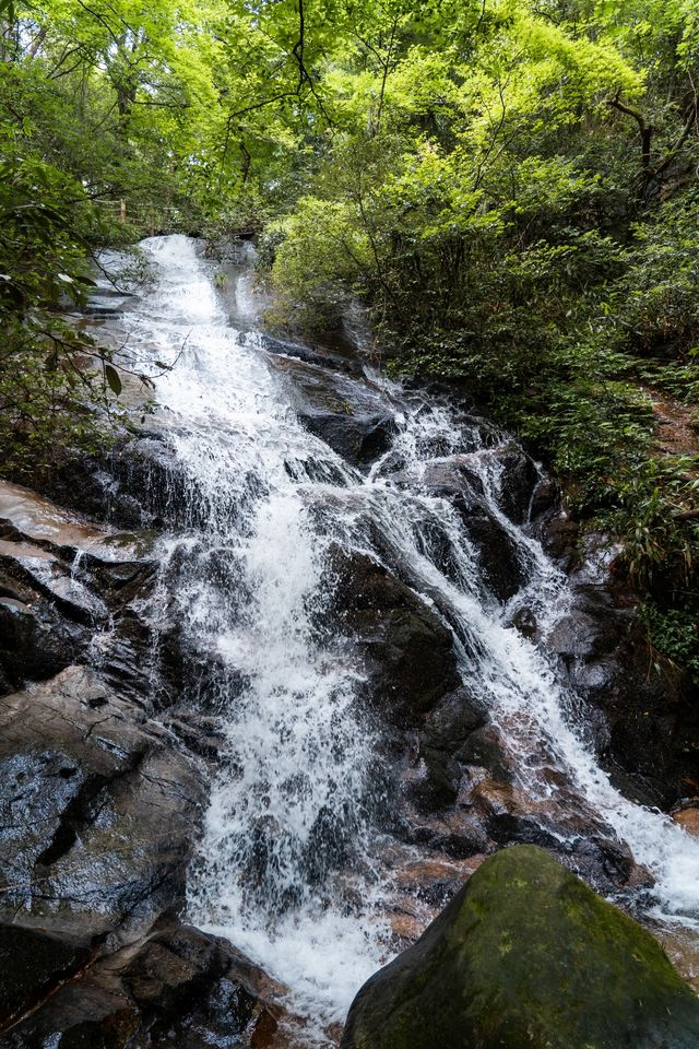 逃離煩囂，衡山竹海山居等您來！