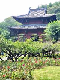 旅遊景點推薦：山西|太原 |世界第二大佛 | 蒙山大佛。