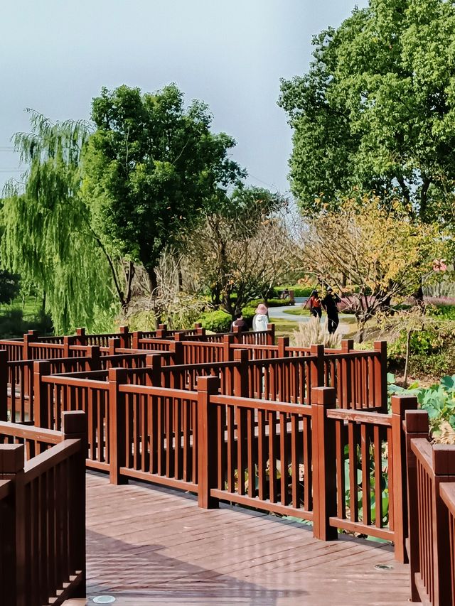 上海華夏公園—「獐」顯溜娃好去處。 上海華夏公園—「獐」顯溜娃好去處。