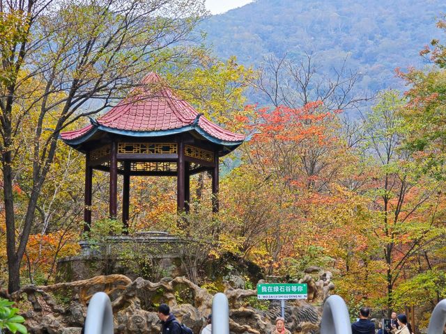 遼寧本溪綠石谷｜綠野仙蹤，去醉個氧。