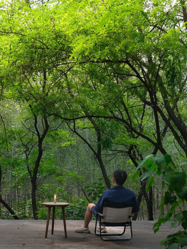 鄭州附近的森林露營地，這份愜意誰能懂？