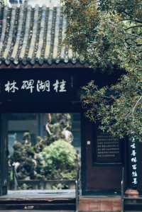 十月份的成都｜滿城盡帶桂花香。