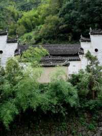 金華山下鮑村 | 世間桃花源，界外烏托邦。
