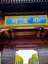 臥龍岡武侯祠。