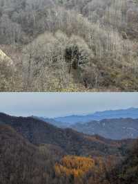 10月20日中台山雪景實拍。
