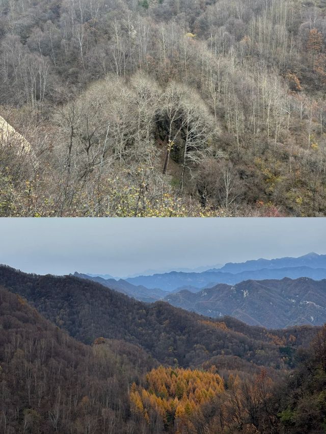 10月20日中台山雪景實拍。
